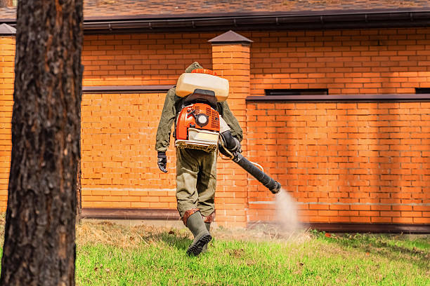 Trusted Bed Bug Control service in Edinboro, PA - Nex Pest Control